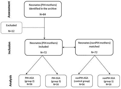 Selenium status in term neonates, according to birth weight and gestational age, in relation to maternal hypertensive pathology